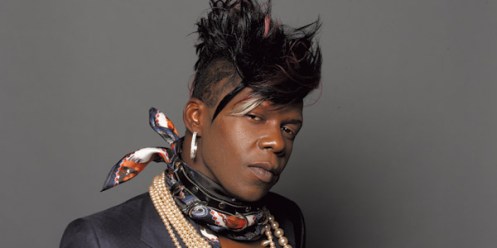 BigFreedia